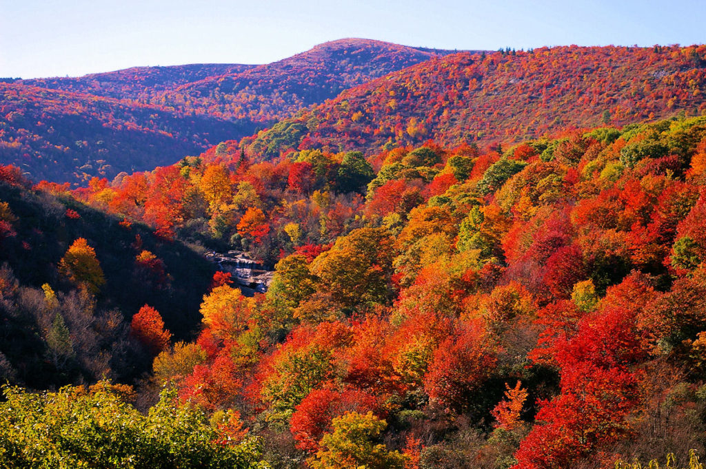 asheville fall